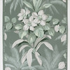 1940s Vintage Wallpaper White Tropical Flowers on Green