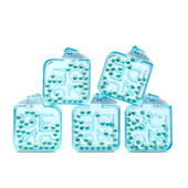  Nude Mints Ice Shot Flavour 5 Pack 