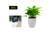 WHITE 19cm Self Watering Planter Flower Pot Box Herb Succulents Flowers