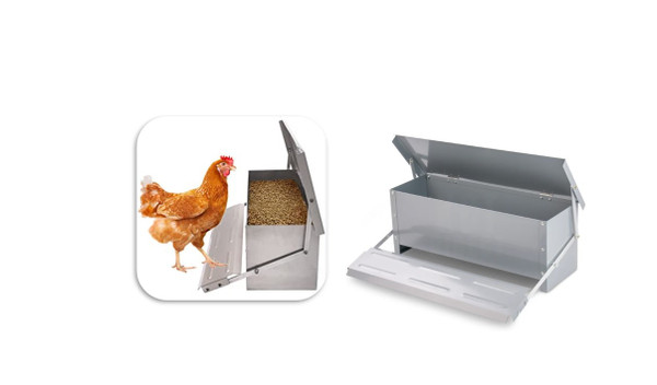 Self-Opening Automatic Chicken Feeder Poultry Galvanized Coop Food