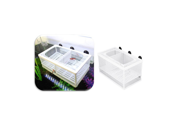 Large Mesh Fish Hatchery Breeder Box Aquarium Separation Breeding Isolation