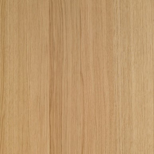 M 144 Unfinished Oak Plywood 8'
