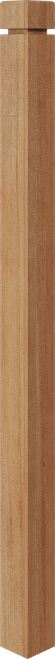 NW-4X58G-H Newel