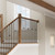LJAN-6102FJ120-P Handrail