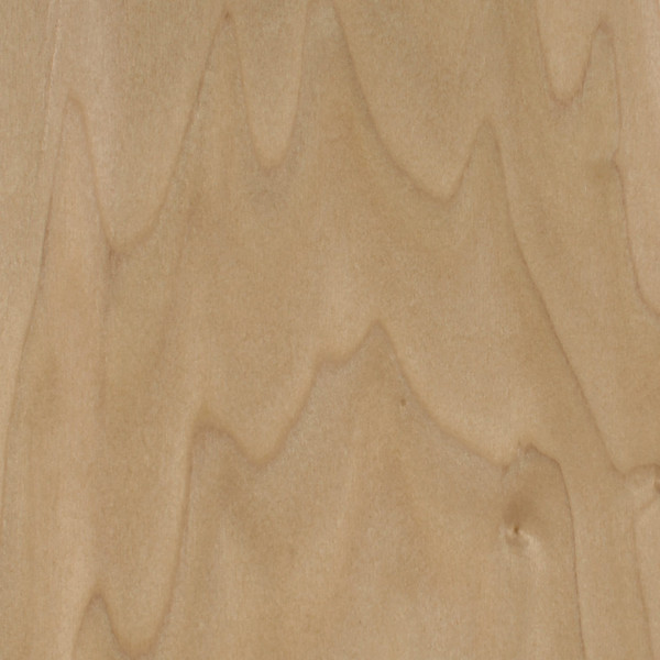 124 Unfinished Poplar  Plywood 8'