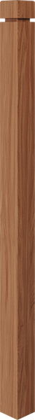 NW-4X58G-WO Newel
