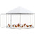 13FT Large Metal Hexagonal Chicken Coop with Wire Mesh and Lockable Door