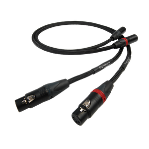 Chord Signature Tuned ARAY XLR Pair Chord Signature Tuned ARAY XLR Pair