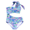 Blueberry Bay       Bermuda Urchin 1pc Swimsuit