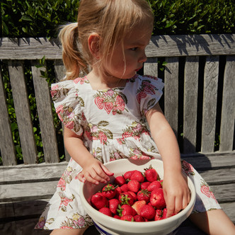 Pink Chicken                                            Elsie Dress - Wild Strawberries