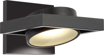 Hawk LED Wall Sconce in Black (72|62-993)