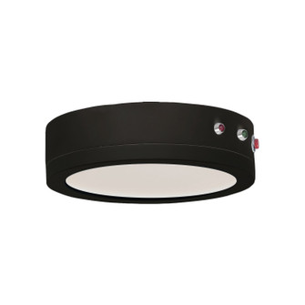 Wafer LED Surface Mount in Black (16|57784WTBK)