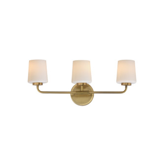 Durham Three Light Bath Vanity in Natural Aged Brass (16|12693WTNAB)