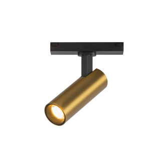 Paolo LED Track Directional Light in Brushed Gold (347|TRS25914-BG-4K)