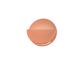 LED Wall Sconce (102|CER-5615-BSH)