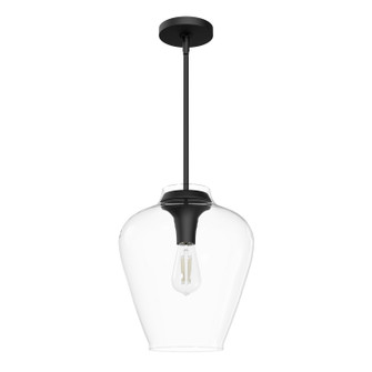 Vidria One Light Pendant in Matte Black (47|49011)
