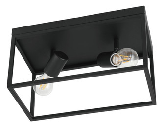 Silentina Two Light Ceiling Mount in Black (217|98332A)