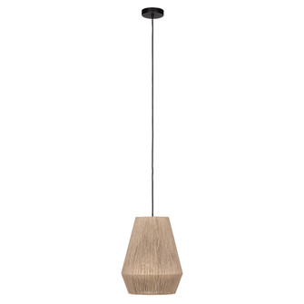 Alderney One Light Pendant in Black (217|206082A)