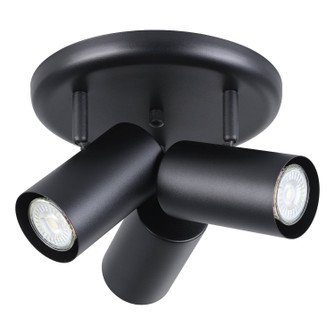 Calloway LED Track Light in Black (217|206043A)