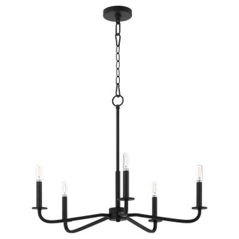 Rutherford Five Light Chandelier in Matte Black (19|6307-5-59)
