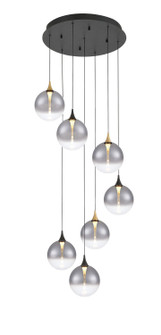 Iissa Seven Light Chandelier in Gold-Black (40|48930-024)