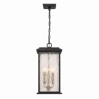 Estate Three Light Outdoor Pendant in Black, Brass (78|AC9275BK)