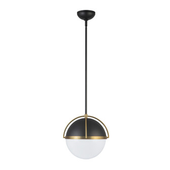 Dahlia One Light Pendant in Black, Brushed Brass (78|AC12040BB)