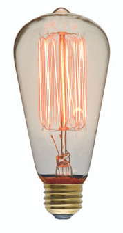 St64 110-130V 40W Light Bulb in Clear (325|HGPL126)