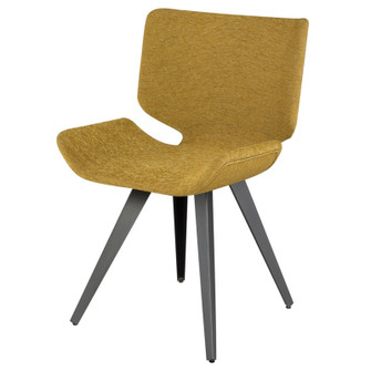 Astra Dining Chair in Palm Springs (325|HGNE160)