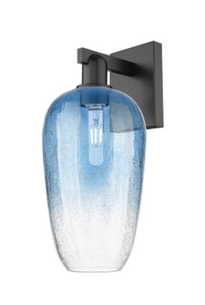 Arcadia One Light Wall Sconce in Matte Black (405|716-1W-BK-G484-7SB)