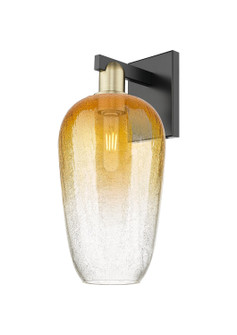 Arcadia One Light Wall Sconce in Black Antique Brass (405|716-1W-BAB-G484-7AM)
