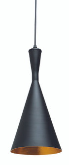 Lue Pendant in Black (325|HGML387)