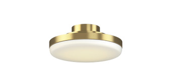 TriAire Custom LED Light Kit in Brushed Satin Brass (26|LK8505BS)