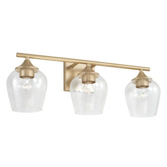 Reece Three Light Vanity in Soft Gold (65|AA1009SF)