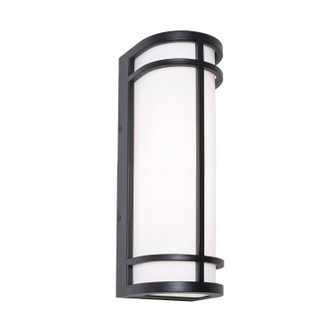 Crain LED Outdoor Wall Sconce in Black (162|CRNW0616LAJUDBK)