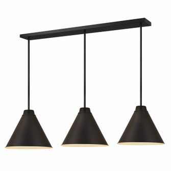 Eaton Three Light Pendant in Matte Black (224|6011P18-3L-MB)