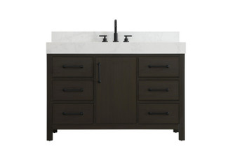 Nathan Bathroom Vanity in Mocha Brown (173|VF60648MMB-BS)