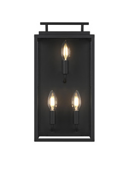 Valentin Three Light Outdoor Wall Sconce in Black (173|OD418W17BK)