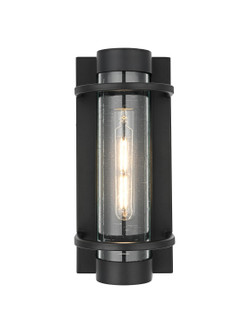 Parrish One Light Outdoor Wall Sconce in Black (173|OD368W13BK)