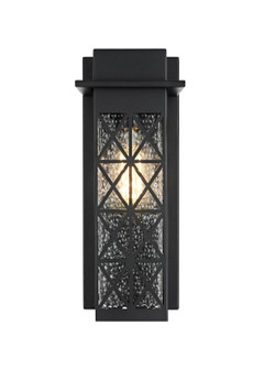 Wildey One Light Outdoor Wall Sconce in Black (173|OD361W13BK)