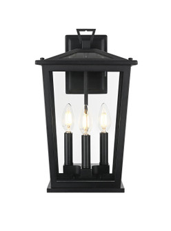 Berks Three Light Outdoor Wall Sconce in Black (173|OD333W16BK)