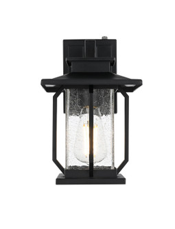 Salem One Light Outdoor Wall Sconce in Black (173|OD304W12BK)