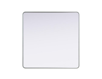 Remy Mirror in Silver (173|MR8A4848SIL)