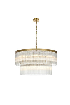 Harlow 14 Light Chandelier in Satin Gold (173|1070D32SG)