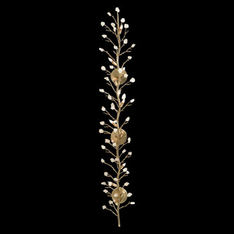 12 Light Wall Sconce in Antiqued (145|AJC-9143)