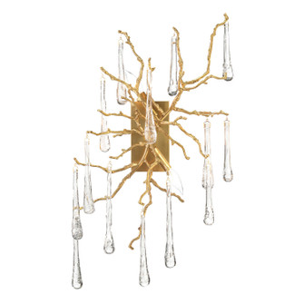Two Light Wall Sconce in Clear (145|AJC-8983)