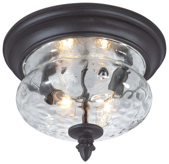 Ardmore Two Light Flush Mount in Black (7|9909-1-66)