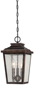 Irvington Manor Three Light Outdoor Chain Hung in Chelesa Bronze (7|72174-189)