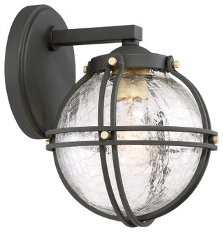 Rond One Light Outdoor Wall Mount in Coal W/Honey Gold Highlight (7|71231-661)