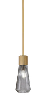 Everleigh One Light Mini Pendant in New Age Brass (200|4801-NAB-882)